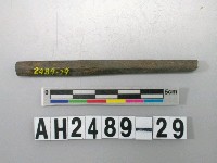 藏品(磨製石針)的圖片